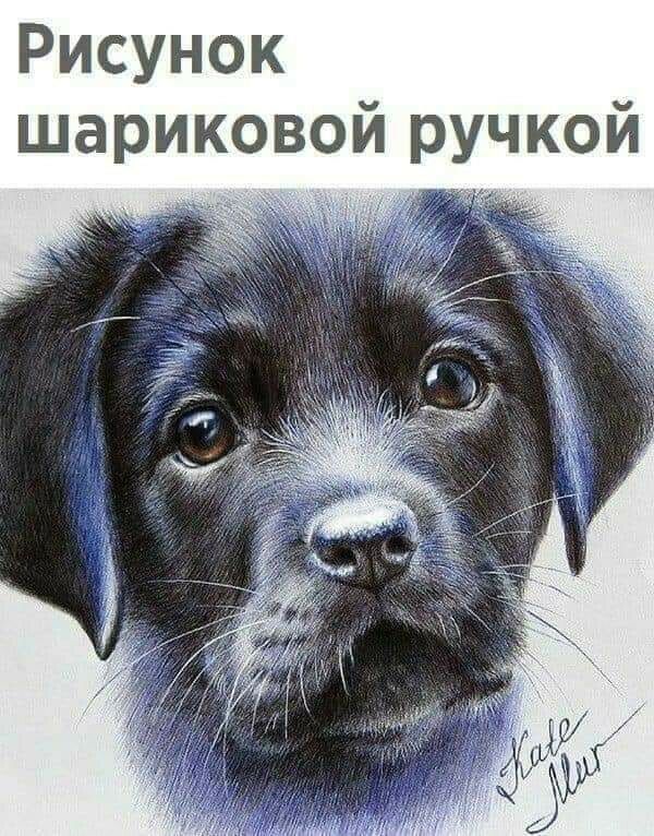 Рисунок шариковой ручкой