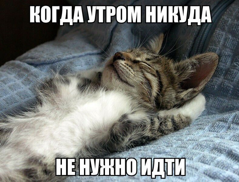 ногдд утром НИШЩА