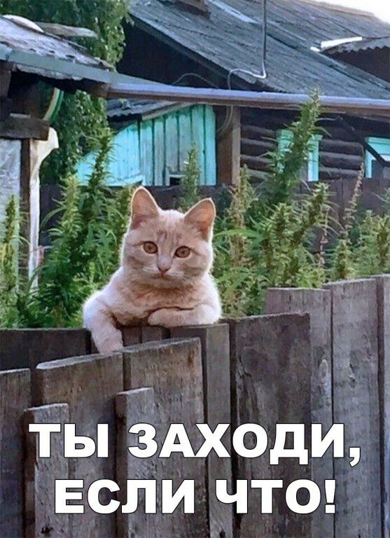 ТЫ ЗАХОДИ ЕСЛИ ЧТО