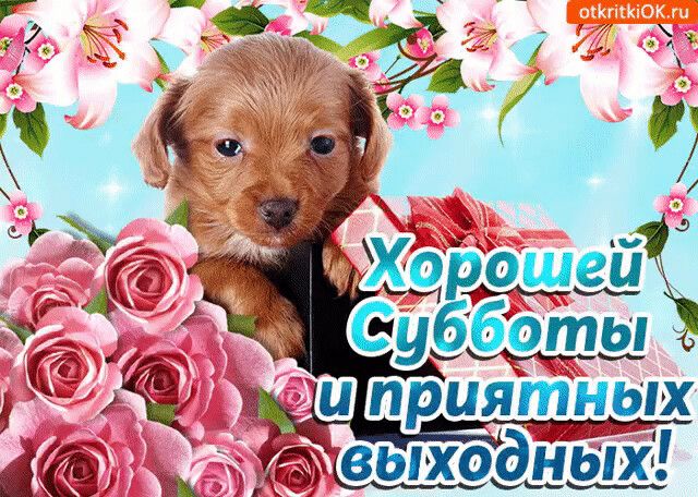 __ идиша убёшш иприятных хвыходЦБіх
