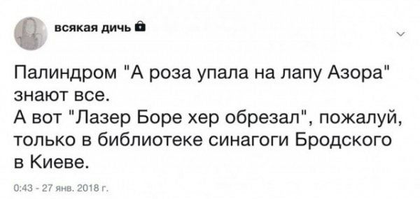 всякая дичь у Палиндром А роза упала на лапу Азора знают все А вот Лазер Боре хер обрезал пожалуй только в библиотеке синагоги Бродского в Киеве из гии дожа
