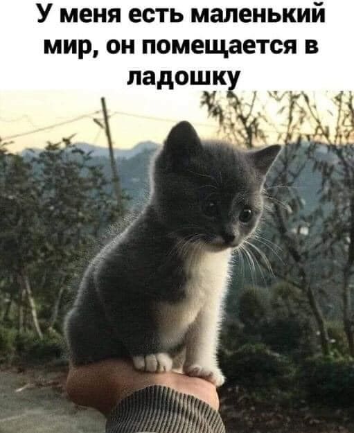 У меня есть маленький мир он помещается в