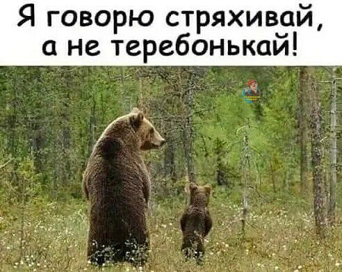 Я говорю стряхивай а не теребонькай _