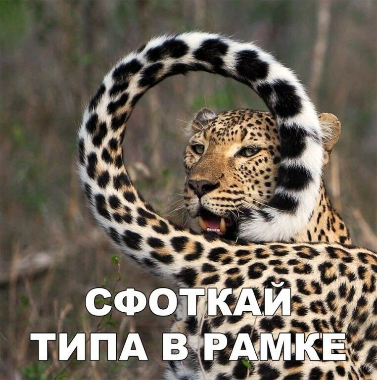 ТИПА В РАМ КЕ