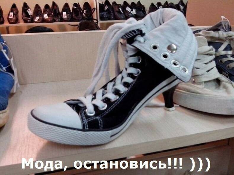 новись