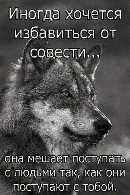 Иногдёг хочется избавиться от совести ища меша с людБМИ поступают _с тобой