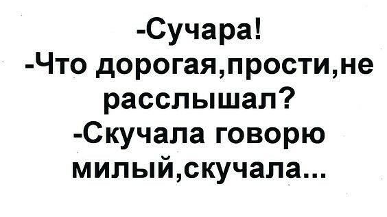Сучара Что дорогаяпростине расслышал Скучала говорю милыйскучапа