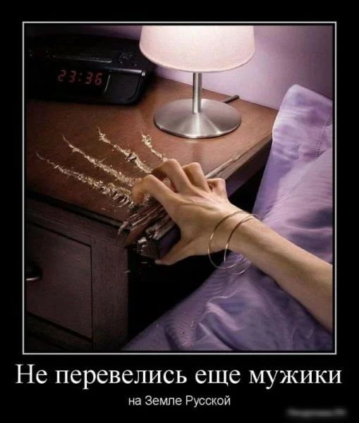 не перевелись еще МУЖИКИ на Земле Русской