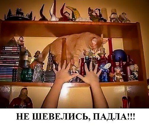 НЕ ШЕВЕЛИСЬ ПАДЛА