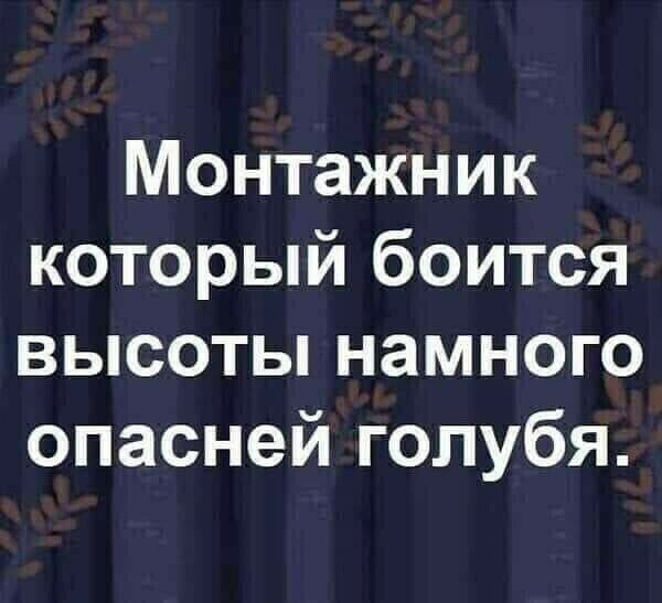 Монтажник который боится высоты намного опасней голубя