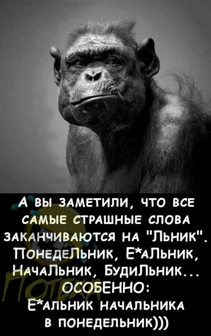 А А вы ЗАМЕТИЛИ что все САМЫЕ сТРАшные СЛОВА ЗАКАНЧИВАЮТСЯ НА Льник Понедепьник ЕАЛьник НАЧАЛЬНИК Будипьник ОСОБЕННО ЕАльник НАчАльнИКА в понедельник