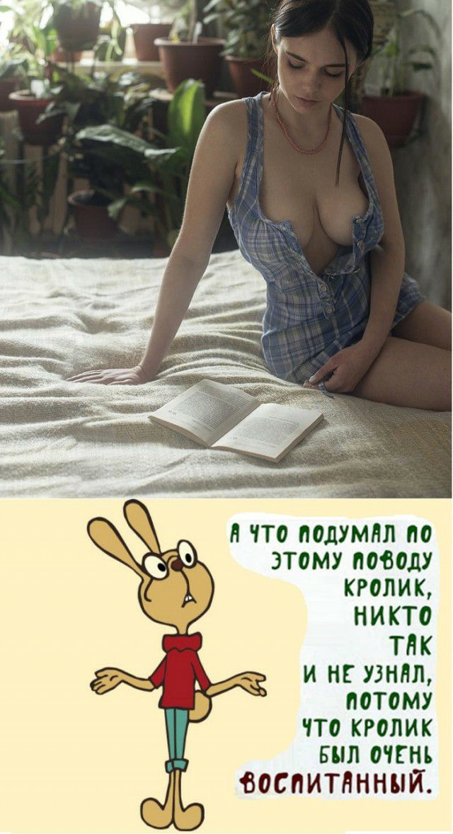 Н ЧТО ПОДУМНЛ ПО ЭТОМУ ПОБОДУ КРОЛИК НИКТО ТНК И НЕ УЗННП ПОТОМУ ЧТО КРОЛИК БЫЛ ОЧЕНЬ ь воспитанный