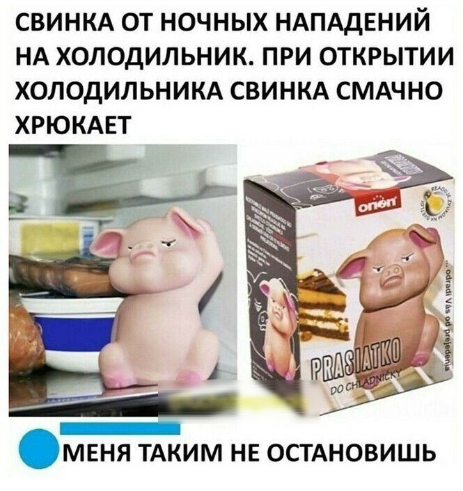 СВИНКА ОТ НОЧНЫХ НАПАДЕНИЙ НА ХОЛОДИЛЬНИК ПРИ ОТКРЫТИИ ХОЛОДИЛЬНИКА СВИНКА СМАЧНО ХРЮКАЕТ МЕНЯ ТАКИМ НЕ ОСТАНОВИШЬ