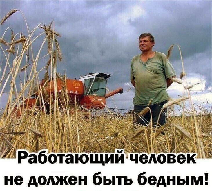 Работающийічедоек не должен быть бедным
