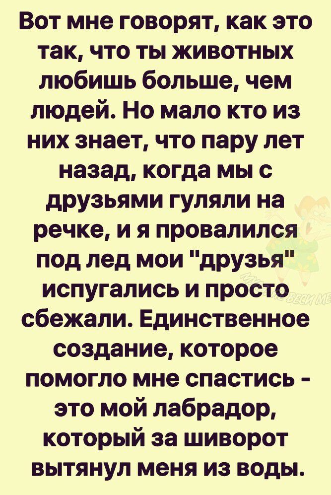 Вот мне говорят как это так что ты животных любишь больше чем людей Но мало кто из них знает что пару лет назад когда мы с друзьями гуляли на речке и я провалился под лед мои дРУ3ья испугались и просто сбежали Единственное создание которое помогло мне спастись это мой лабрадор который за шиворот вытянул меня из воды