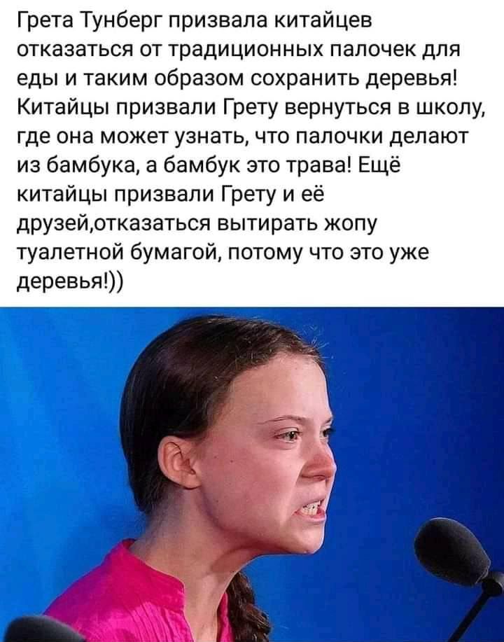Гретатунбергпризвалакитайцев отказатьсяоттрадиционныхпалочекдля еды и таким образом сохранить деревья КитайцьппризвалиГретувернутьсявпикопу где она может узнать что палочки делают из6амбукаабамбукэтотраваЕщё китайцы призвали Грету и её друзейотказаться вытирать жопу туалетной бумагой потому что это уже деревья