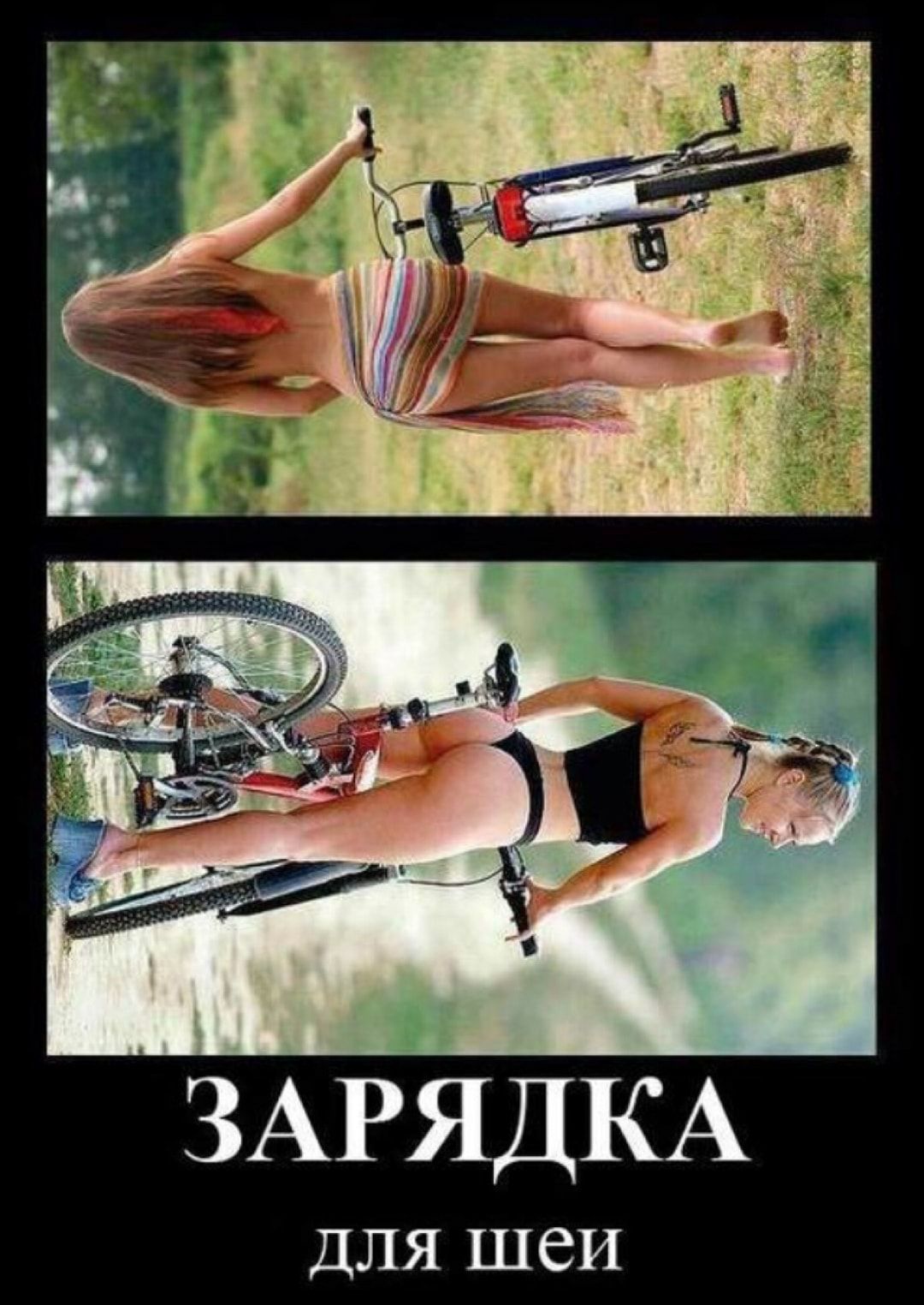 ЗАРЯДКА ДЛЯ ШСИ