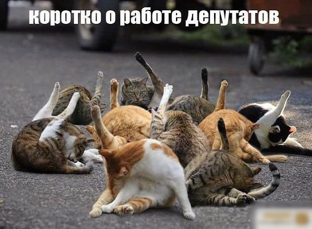 _ПБПБШЬ 0 26018 депутатов
