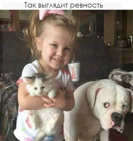 ТОК ВЫГАЯАИТ ревность