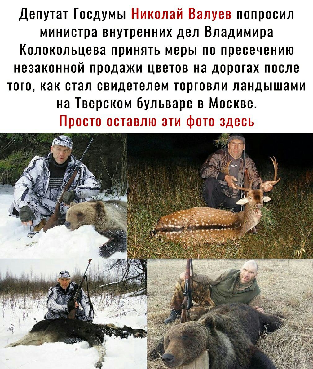 Депутат ГосдумыН попросил министра внутренних дел Владимира Колокольцева принять меры по пресечению незаконной продажи цветов на дорогах после того как стал свидетелем торговли ландышами на Тверском бульваре в Москве