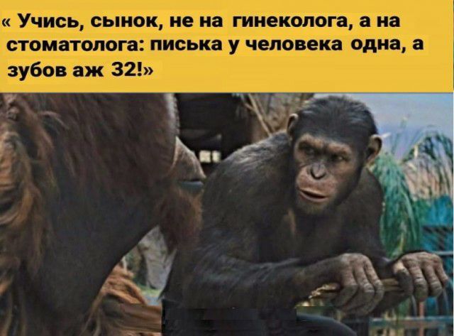 ЕЁПЁУШШЁПЁЁ ГЮ д 37 ЕршСЕБЕ 1193 вы 13 п