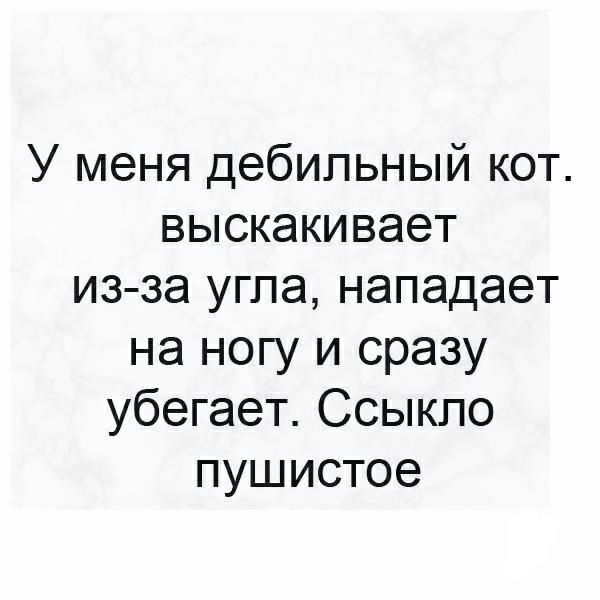 У меня дебильный кот выскакивает из за угла нападает на ногу и сразу убегает Ссыкпо пушистое