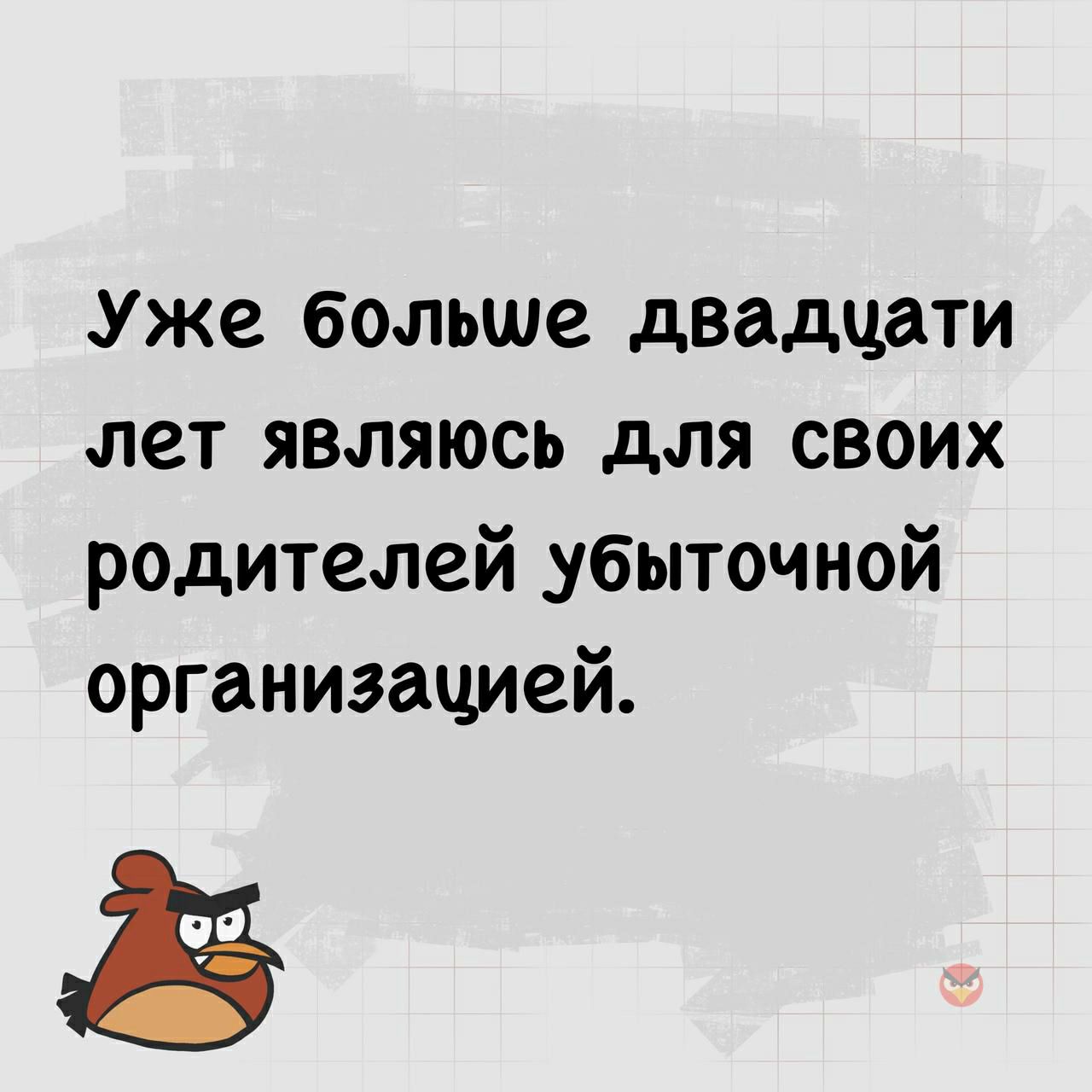 Уже больше двадцати лет являюсь для своих родителей убыточной организацией