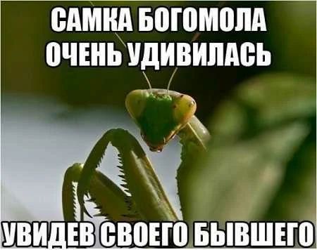 ВАШИ БМПМШШ 0ЧЕНЬУДИВИПА0Ь