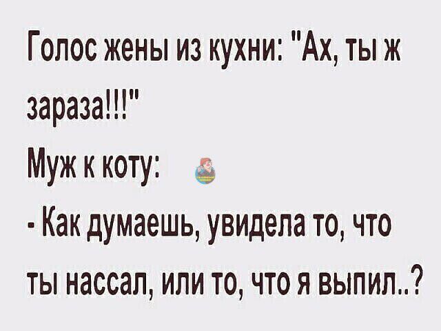 Голос жены из кухни Ах ты ж зараза Муж к коту Как думаешь увидела то что ты нассап или то что я выпил