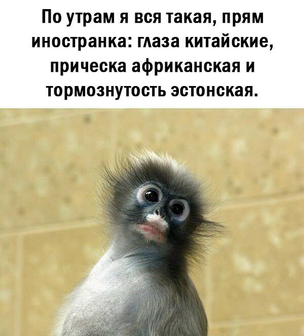По утрам я вся такая прям иностранка глаза китайские прическа африканская и тормознутость эстонская