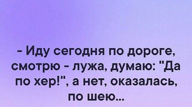 Иду сегодня по дороге смотрю лужа думаю Да по хер а нет оказалась по шею
