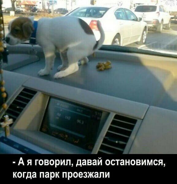 А я говорил давай остановимся когда парк проезжали