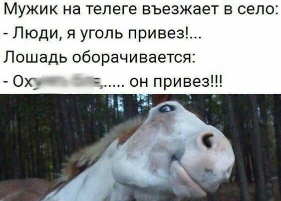 Мужик на телеге въезжает в село Люди я уголь привез Лошадь оборачивается 0х он привез