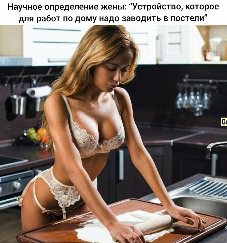 Научное определение жены Устройство которое для работ по дому надо заводить в постели
