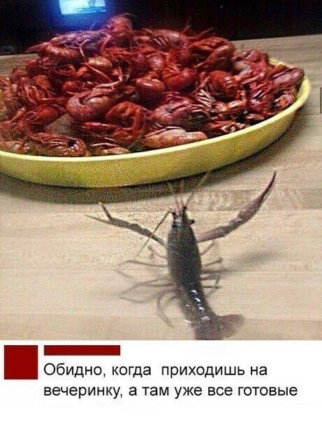 __ Обидно когда приходишь на вечеринку ТЗМ УЖЕ все ГОТОВЫЕ