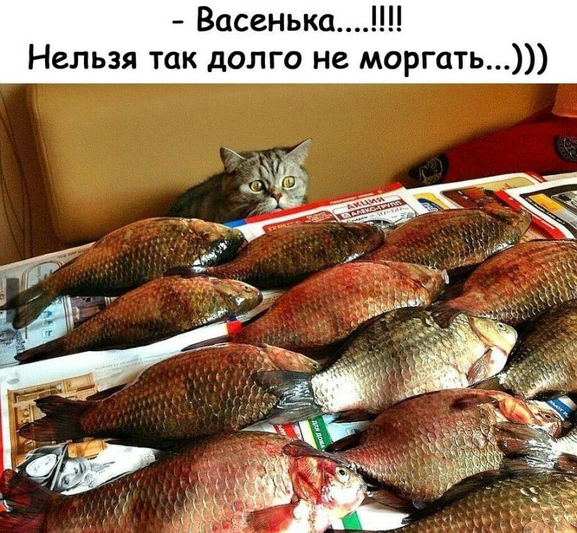 васенька нельзя так долго не моргать...