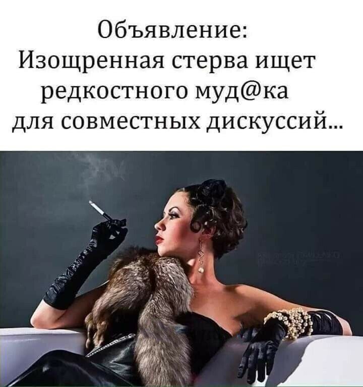 Объявление Изощренная стерва ищет редкостного мудка для совместных дискуссий
