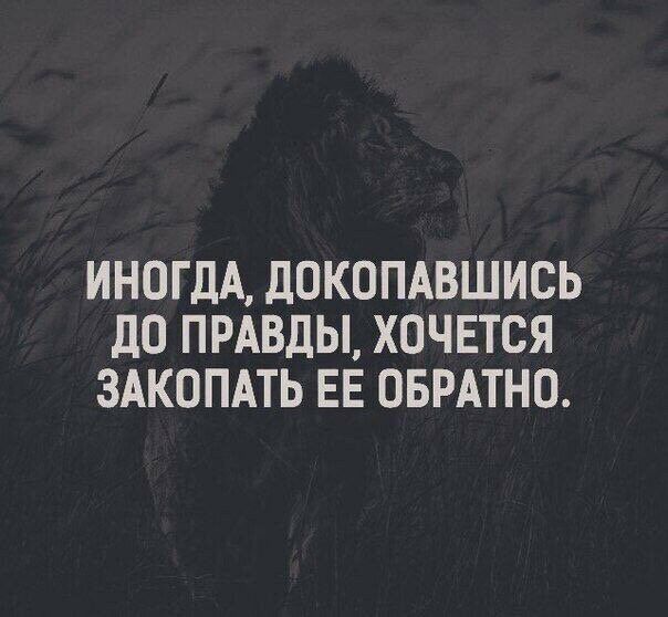 ИНОГДА ДОКОПАВШИСЬ ДО ПРАВДЫ ХОЧЕТСЯ ЗАКОПАТЬ ЕЕ ОБРАТНО