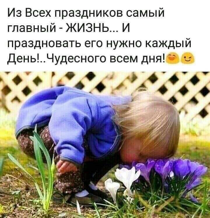 Из Всех праздников самый главный ЖИЗНЬ И праздновать его нужно каждый ДеньЧудесного всем дня г о чцц _