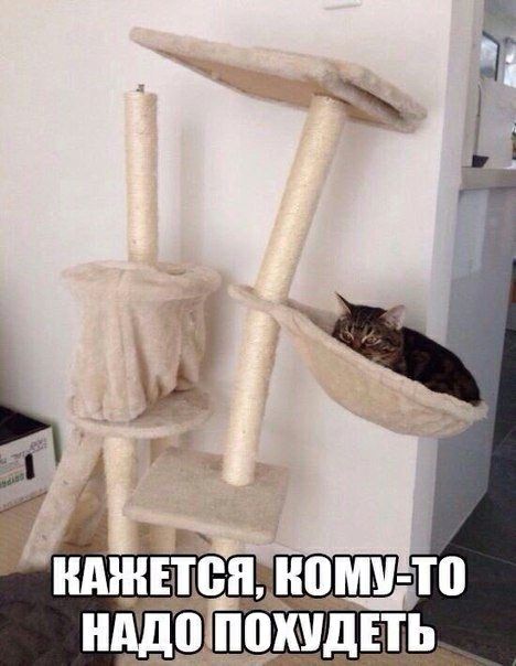 нджпен коми то нддбіюхидпь