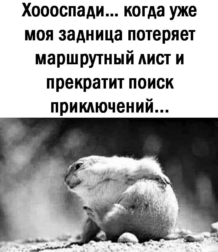 Хоооспади когда уже моя задница потеряет маршрутный АИСТ и прекратит поиск прикдючений