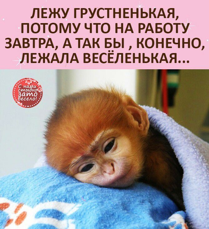 ЛЕЖУ ГРУСТНЕНЬКАЯ ПОТОМУ ЧТО НА РАБОТУ ЗАВТРА А ТАК Б_Ы КОНЕЧНО ЛЕЖАЛА ВЕСЕЛЕНЬКАЯ