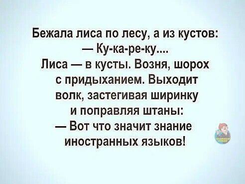 Бежапа лиса по лесу а из кустов Ку каре ку Лиса в кусты Возня шорох с придыханием Выходит волк застегивая ширинку и поправляя штаны Вот что значит знание иностранных языков