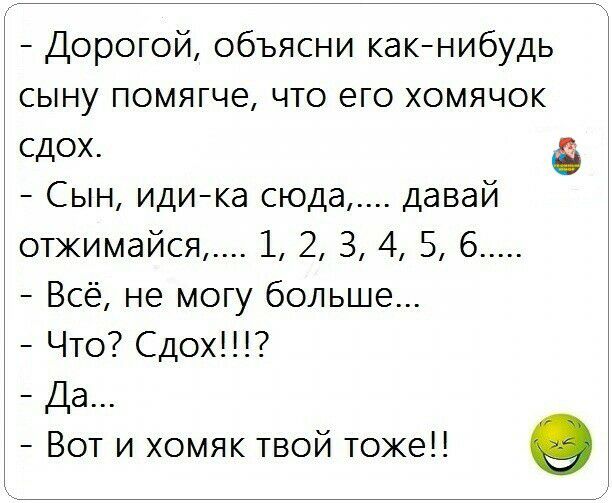 Дорогой объясни какнибудь сыну помягче что его хомячок сдох Сын идика сюда давай отжимайся 1 2 З 4 5 6 Всё не могу больше Что Сдох Да Вот и хомяк твой тоже 9