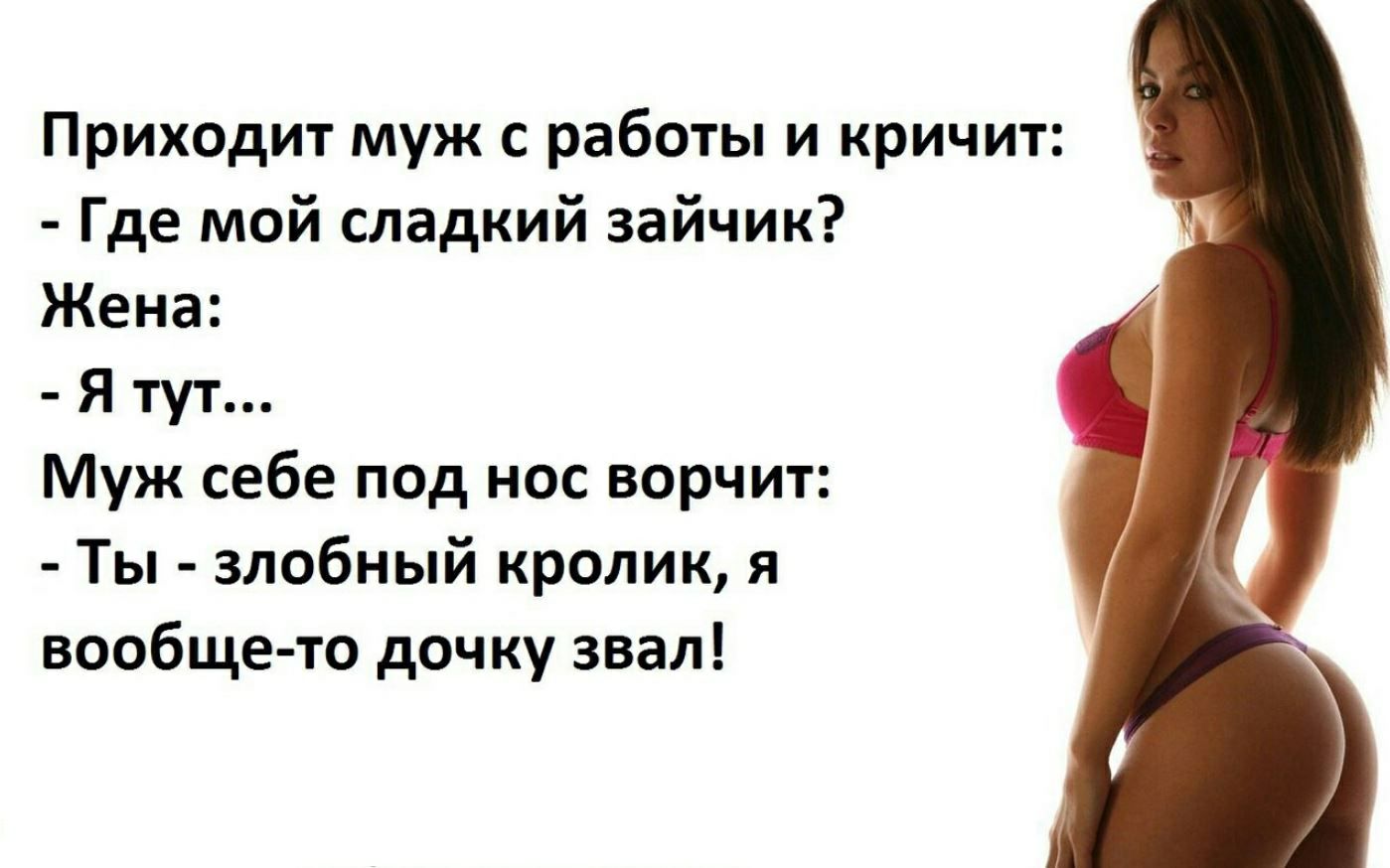 Приходит муж с работы и кричит Где мой сладкий зайчик Жена Я тут Муж себе под нос ворчит Ты злобный кролик я вообще то дочку звал