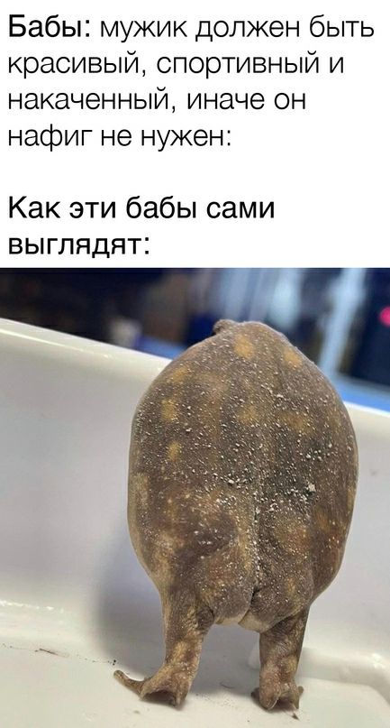 Бабы мужик должен быть красивый спортивный и накаченный иначе он нафиг не нужен Как эти бабы сами выглядят