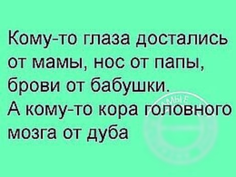 Комуто глаза достались от мамы нос от папы брови от бабушки А кому то кора головного мозга от дуба