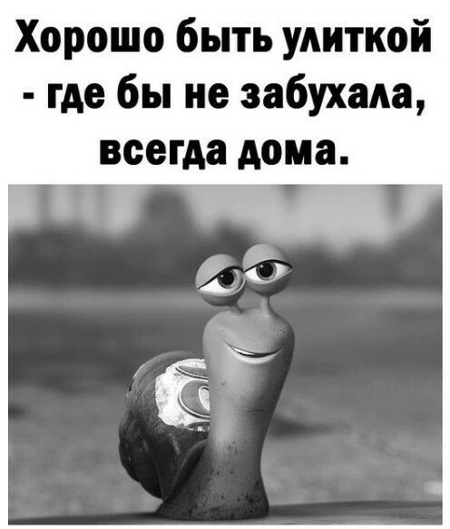 Хорошо быть улиткой где бы не забухада всегда дома