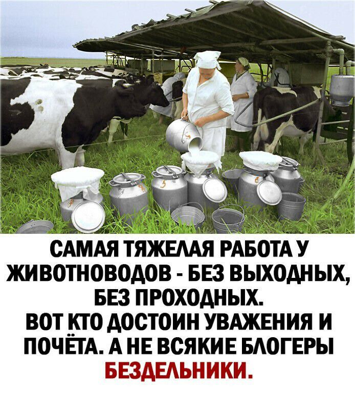 САМАЯ ТЯЖЕААЯ РАБОТА У ЖИВОТНОВОАОВ БЕЗ ВЫХОДНЫХ БЕЗ ПРОХОАНЫХ ВОТ _КЮ ДОСТОИН УВАЖЕН ИЯ И ПОЧЕТА А НЕ ВСЯКИЕ БАОГЕРЫ БЕЗАЕАЬНИКИ