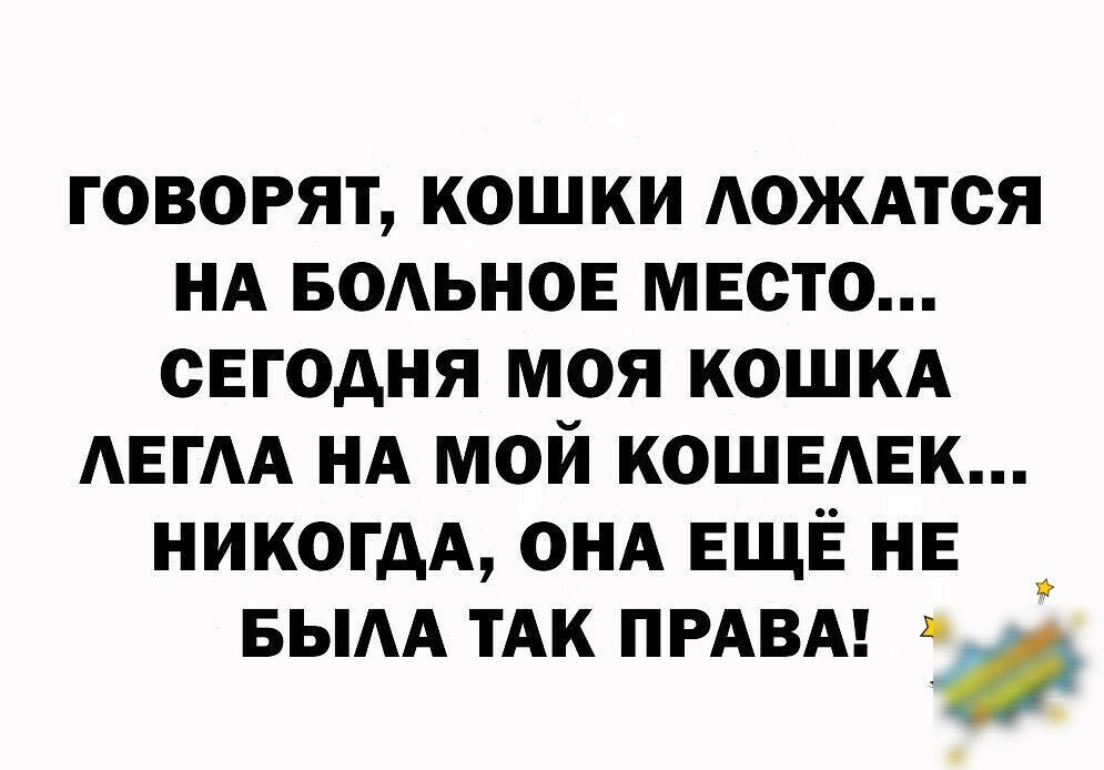 говорят кошки АОЖАТСЯ НА БОАЬНОЕ мвсто сегодня моя КОШКА АЕГАА НА мой кошвмгк никогдА ОНА ЕЩЁ НЕ _ БЫАА ТАК ПРАВА г